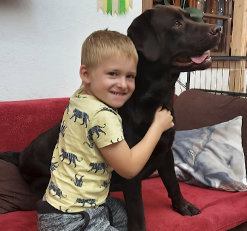 Therapiehunde 3