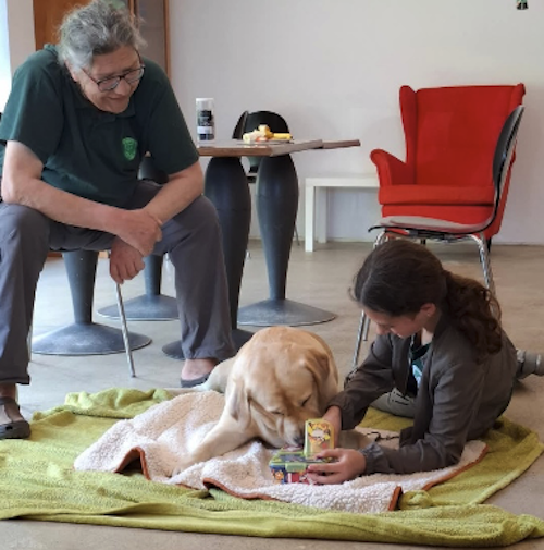 Therapiehunde 6