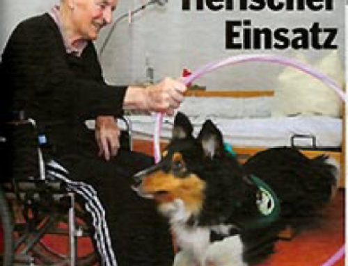 Hund in Seniorenheim