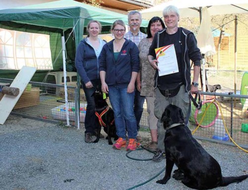 Staatlich zertifizierter Assistenzhund