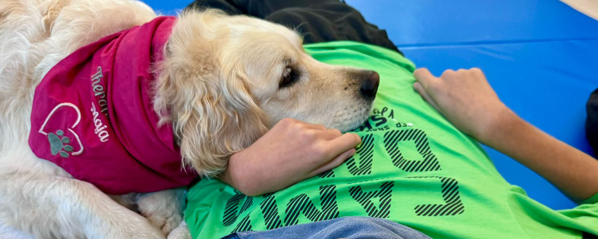 Therapiebegleithunde Ausbildung Tirol
