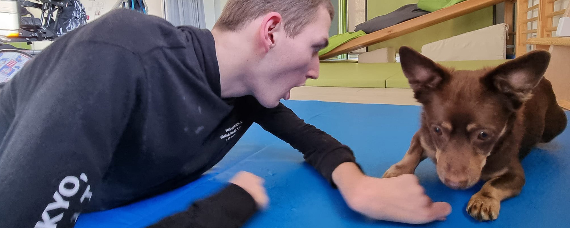 Therapiebegleithunde Ausbildung