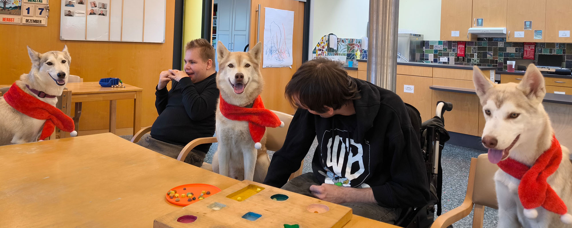 therapiebegleithunde 4 Therapiebegleithunde Ausbildung Vorarlberg